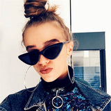 CURTAIN 2019 Hot Fashion Cute Sexy Ladies Cat Eye Sunglasses Women Vintage Brand Small Sun Glasses Female Oculos de sol UV400